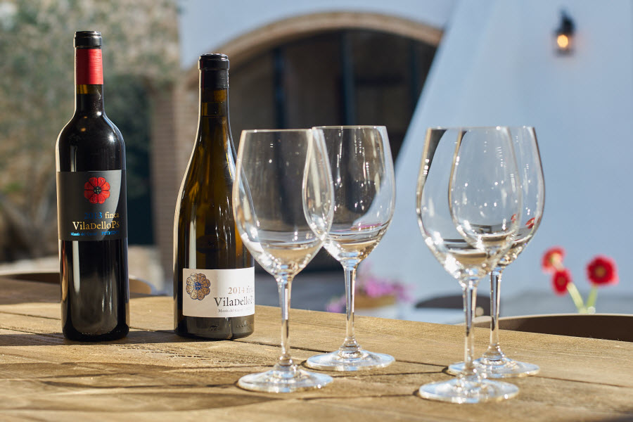 Wine events at Masia Viladellops